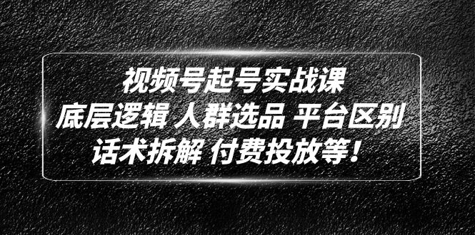 视频号起号实战课：底层逻辑 人群选品 平台区别 话术拆解 付费投放等！ - 蓝天网赚-蓝天网赚