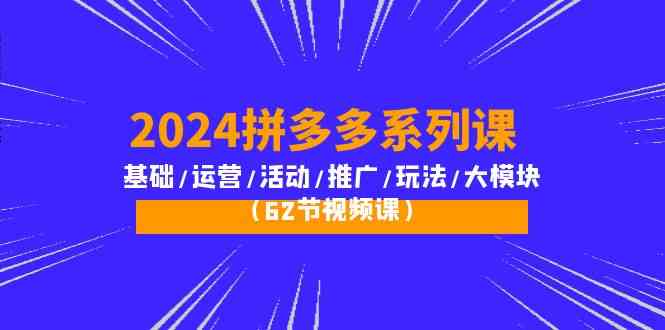 （10019期）2024拼多多系列课：基础/运营/活动/推广/玩法/大模块（62节视频课） - 蓝天网赚-蓝天网赚