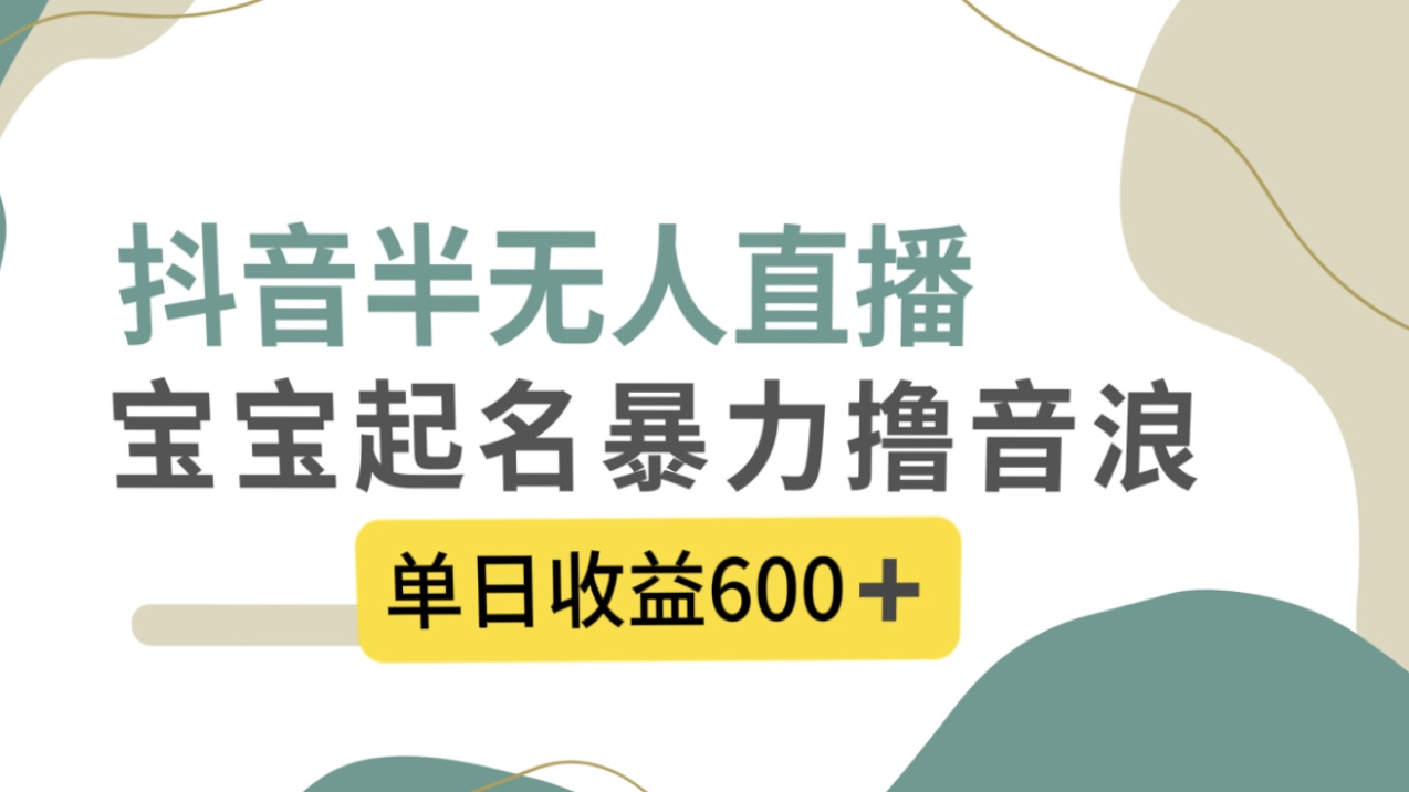 抖音半无人直播，宝宝起名，暴力撸音浪，单日收益600+ - 蓝天网赚-蓝天网赚