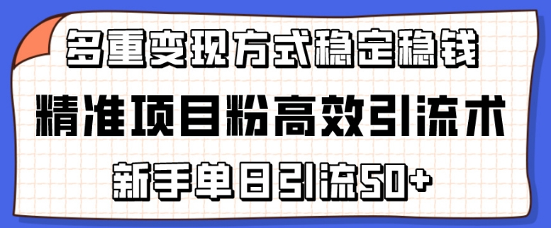 精准项目粉高效引流术，新手单日引流50+，多重变现方式稳定赚钱 - 蓝天网赚-蓝天网赚