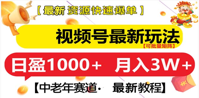 视频号独家玩法，老年养生赛道，无脑搬运爆款视频，日入1000+ - 蓝天网赚-蓝天网赚