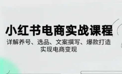 小红书从0-1实操课(2023-2025)，详解养号、选品、文案撰写、爆款打造实现电商变现-蓝天网创