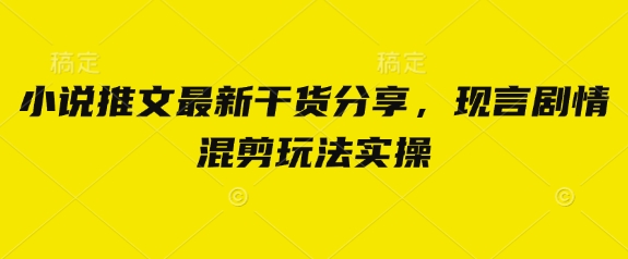 小说推文最新干货分享，现言剧情混剪玩法实操-蓝天网创