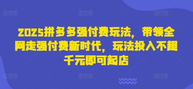 2025拼多多强付费玩法，带领全网走强付费新时代，玩法投入不超千元即可起店-蓝天网创