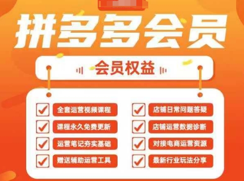 2025拼多多运营实战课，40节全流程教学，覆盖拼多多运营全链路-蓝天网创