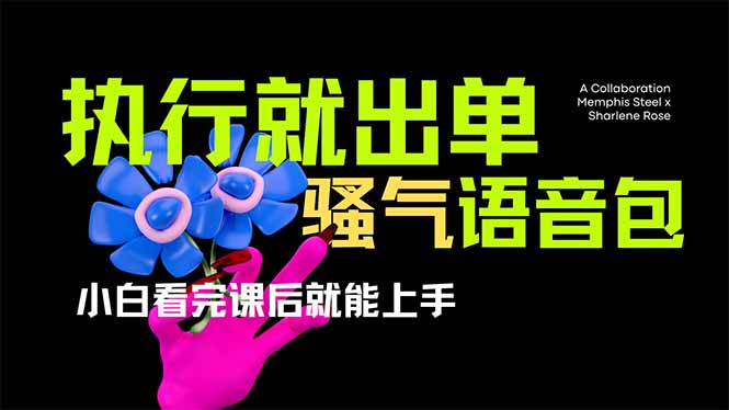 （14170期）爆火全网的开车导航骚气语音包,只要执行就出单，小白看完课程就能实操…-蓝天网创